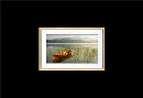 Netgear Meural Canvas II – Art, Photos & NFT Crypto-Art Display, Light wood