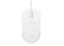 Fury Herní myš Tanto T4, herní, 12000DPI, USB, optická, drátová, RGB, 7 tlačítek, kabel délka 1,8m, 