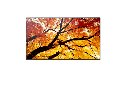 Sharp 32" MultiSync M322 - 24/7, 450 cd, VA LED, 1920 x 1080, 16:9, 8ms, 4000:1, DP, 2x HDMI,